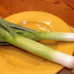 leek