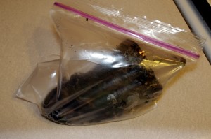 steaming poblano