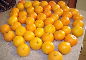 clementines Honey-Preserved Clementines - whole clementines