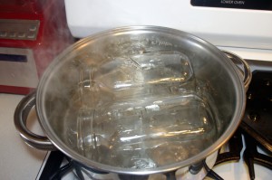 sterlizing jars Honey-Preserved Clementines - sterlizing jars